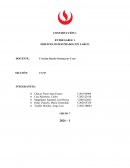 Trabajo final construción Edificio Javier Prado con Larco