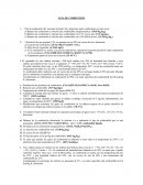 Guía de combustión