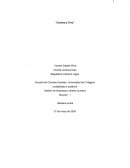 Gestión de empresas y talento humano. Concha y toro