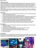 Sala lactarios. Proyecto Viaje al Fondo del Mar