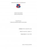 Influencia del calentamiento global en nuestro planeta