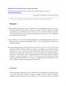 Biopolíticas de la sutiliza animal: mujeres que matan