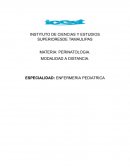 Infecciones en el utero durante el embarazo, parto y posparto