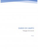 Diario de campo. Pedagogía internacional