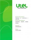 Pregunta de investigación OPEN CLASS