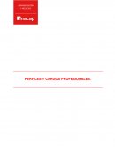 Perfiles y cargos profesionales