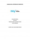Análisis del entorno de negocios. Empresa Vento