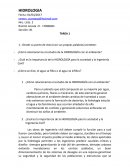 Pregunas de hidrología