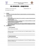 Los amigos en las redes sociales influyen en nuestra formación y en la toma de decisiones