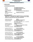 Informe de ampliación de plazo