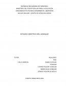 Estudio científico del lenguaje