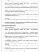 Trabajo práctico de ciencias sociales