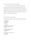 Informe detallado de las Patologías de los Vasos Sanguíneos