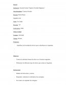 Conclusión práctica docente II 5to Grado