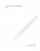 Los hipopótamos