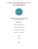 Informe de la elaboración del puente de palitos de chupete