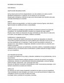 Informe de progreso nivel inicial