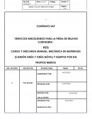 Servicios misceláneos para la presa de relaves cortadera
