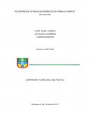 Recuperación de residuos orgánicos en forma de compost cultiva vida