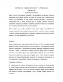 Ejemplo de un plan de negocios. Empresa de jabones orgánicos y artesanales