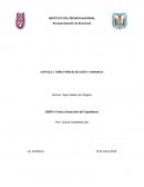 Capítulo I. Tomo III Precio de costo y ganancia