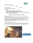 Historia de la madera