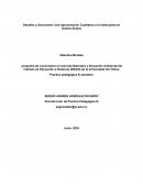 Artículo grado 6 y 7. Proyectos Ambientales Escolares