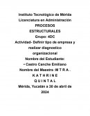 Actividad - Definir tipo de empresa y realizar diagnóstico organizacional