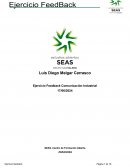 Ejercicio Feedback comunicación industrial