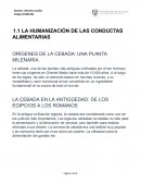 La humanización de las conductas alimentarias