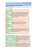 Calibración y mantenimiento del puente