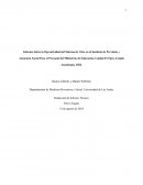 Informe sobre operatividad del sistema de citas