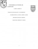 Trabajo de investigación: El matrimonio