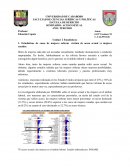 Estadísticas de Acoso Sexual