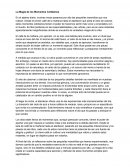 La Magia de los Momentos Cotidianos