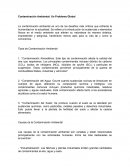 Contaminación Ambiental: Un Problema Global