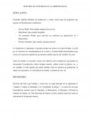 Resumen Conferencias Simposio IIS