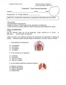 Evaluación Final Ciencias Naturales