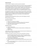 Trabajo práctico CCT