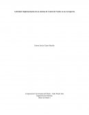 Implementación de un sistema de Control de Vuelos en un Aeropuerto