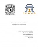 Igualdad de género. Actividad