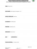 Trabajo Practico Ergonomia 3 año