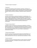 Evaluación Integral del Cuadrúpedo