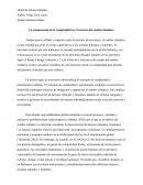 La comprensión de la complejidad en el entorno del cambio climático