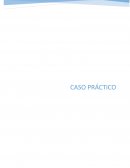 Caso práctico: Logística y política de costes