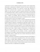 Programa de motivación efectivo