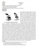 Práctica de laboratorio. Microscopio