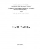 La enfermería de salud comunitaria