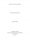 Perspectiva de la educación ambiental