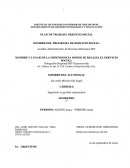 Plan de trabajo: Servicio Social